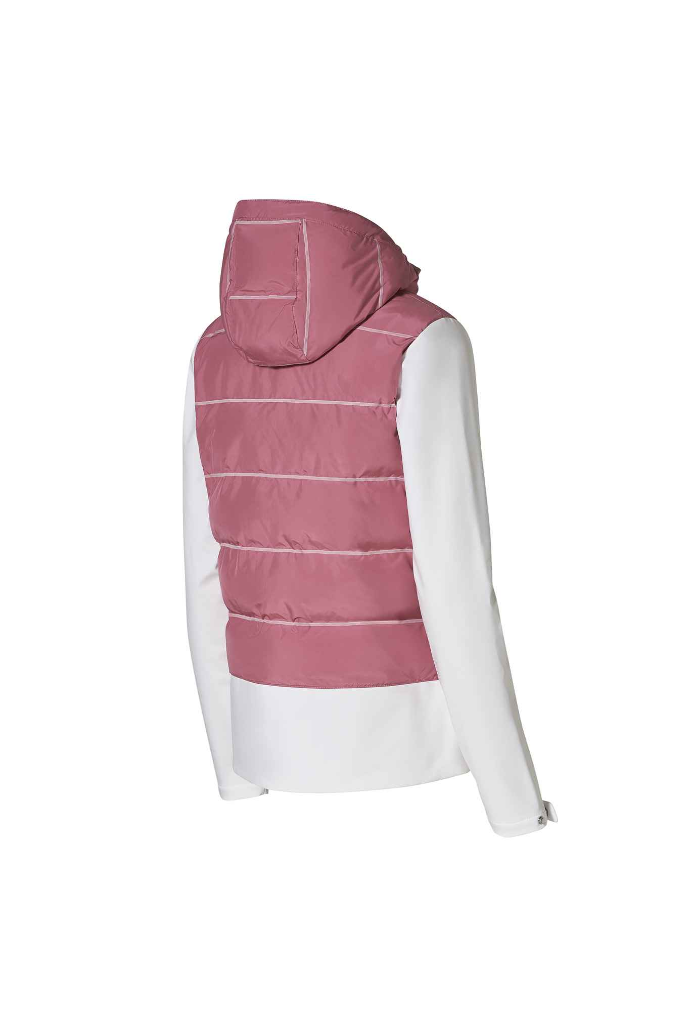 Taycan Collection, Women's Jacket photo(1) 