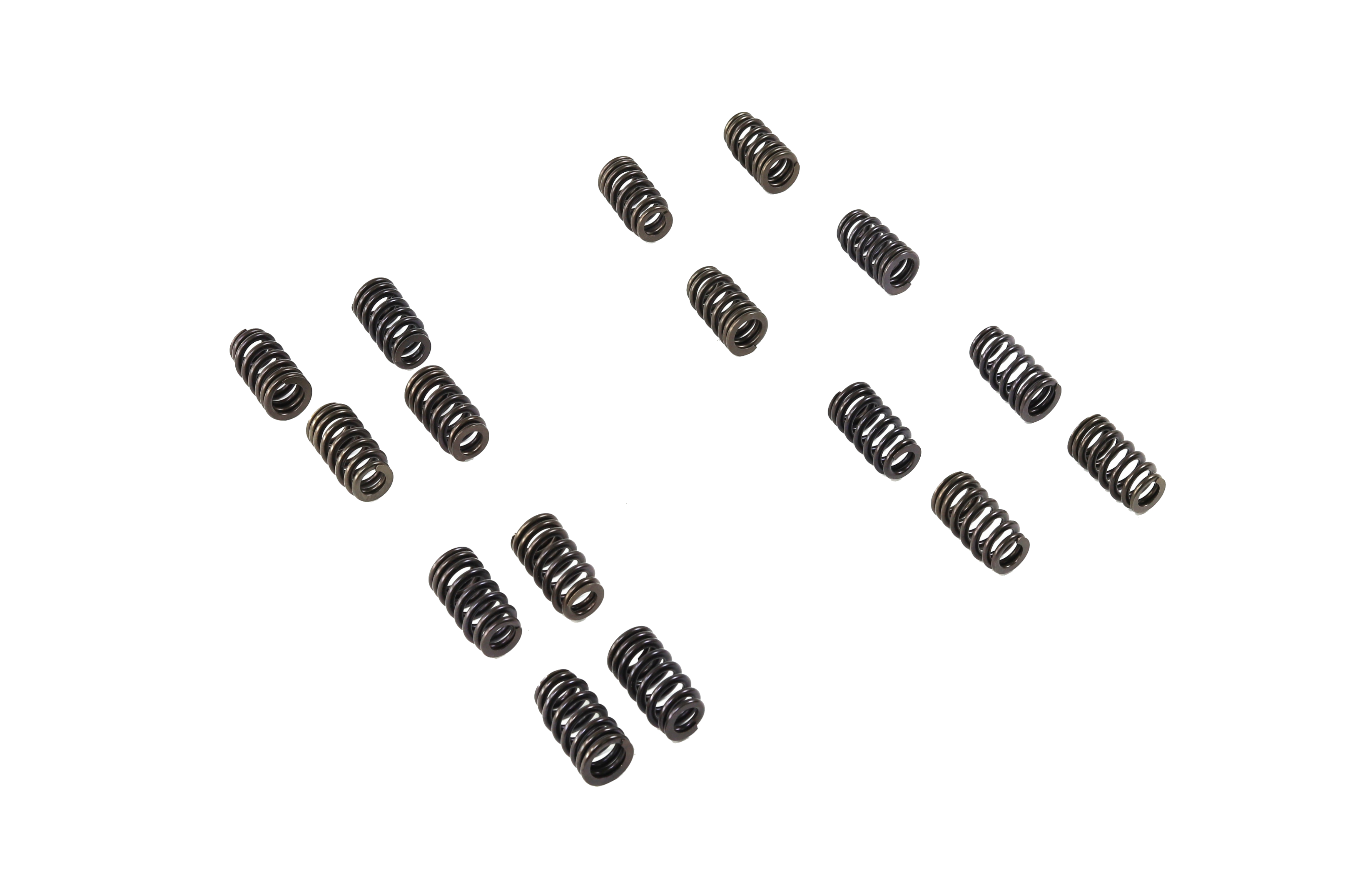 OEM 2021 Dodge Charger Performance Valve Springs (Part P5160074)