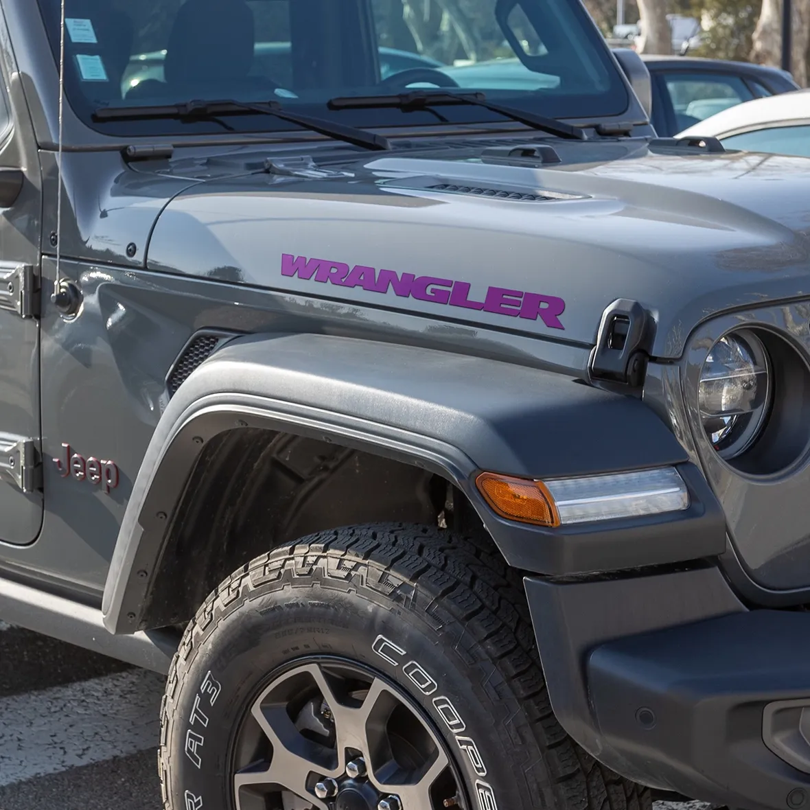 Visco Jeep Wrangler Logo Graphic, Purple