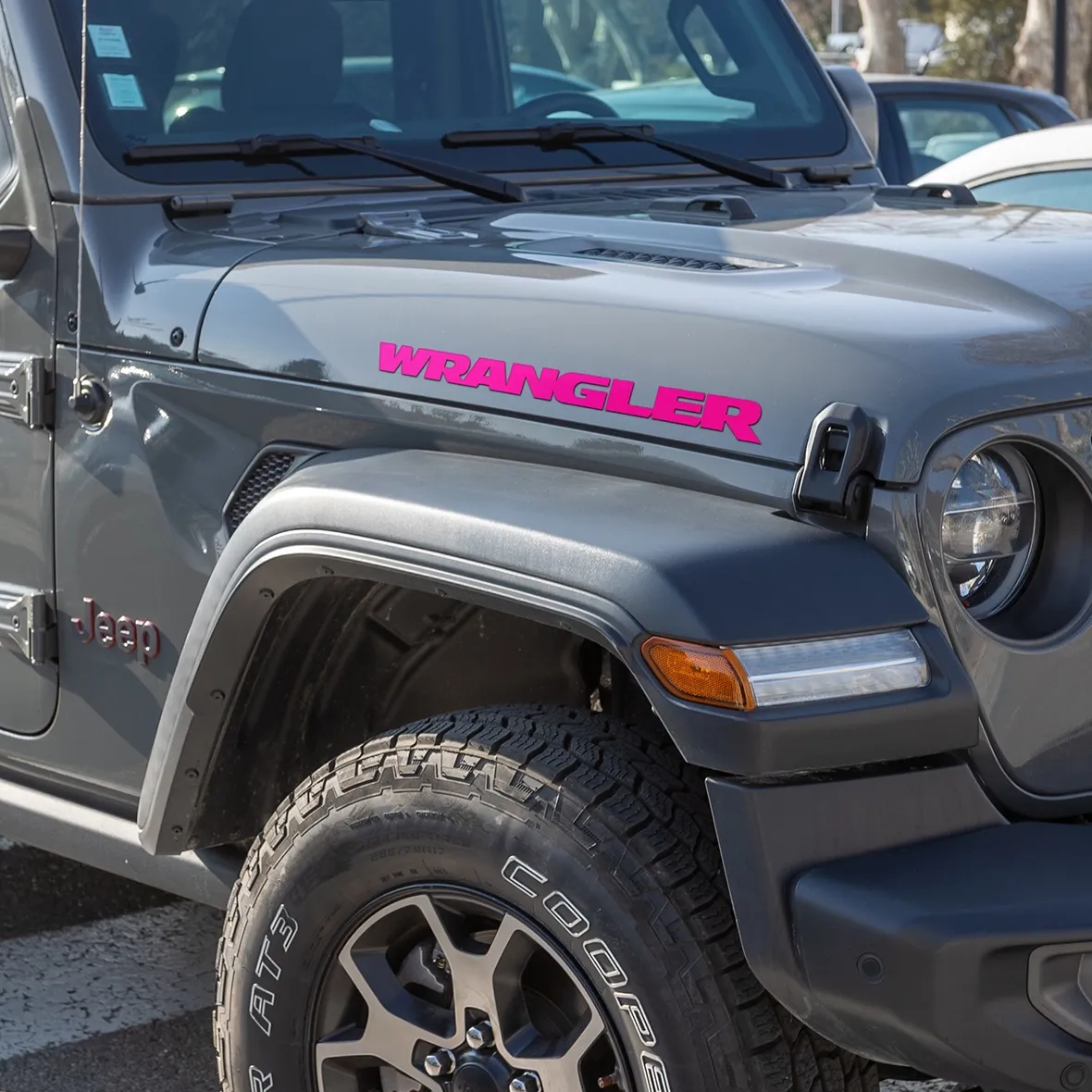 Visco Jeep Wrangler Logo Graphic, Pink